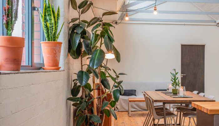 The Loft - Photo 5